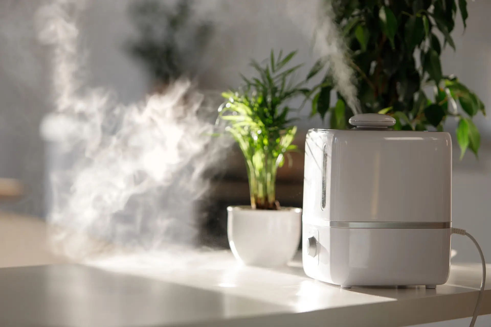 How Can a Professional Improve Your Indoor Air Quality?